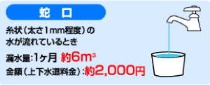 蛇口　糸状（太さ1mm程度）の水が流れているとき　漏水量：1ヶ月約6m3　金額（上下水道料金）：約2,000円